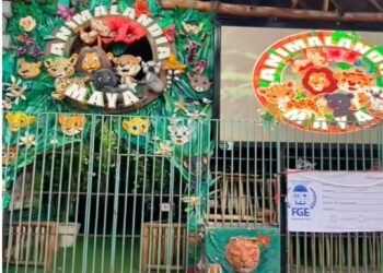 Denuncian presunto maltrato animal en “Animalandia Maya” en Playa del Carmen; urgen clausura 1 Denuncian presunto maltrato animal en “Animalandia Maya” en Playa del Carmen; urgen clausura