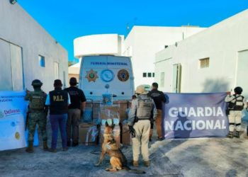 Aseguran camión con más de 275 kilos de droga en carretera Mérida–Cancún; detienen al conductor