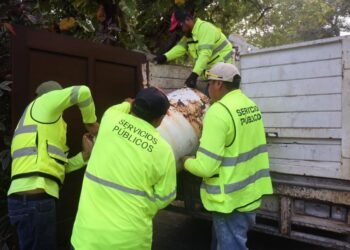 ISLA MUJERES: Refuerzan acciones de limpieza con jornadas de descacharrización