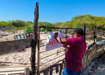Clausura Profepa obras y retira estructuras ilegales en manglares de Chelem, Yucatán