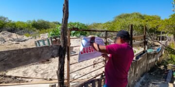 Clausura Profepa obras y retira estructuras ilegales en manglares de Chelem, Yucatán