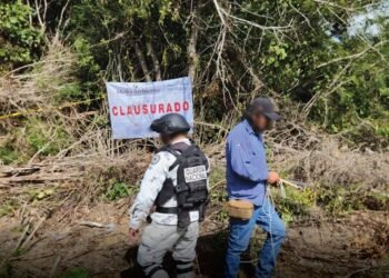 Clausura Profepa cinco predios por actividades ilegales en QR
