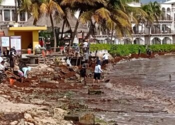 PLAYA DEL CARMEN: Nuevo recale masivo de sargazo en El Recodo 3 PLAYA DEL CARMEN: Nuevo recale masivo de sargazo en El Recodo