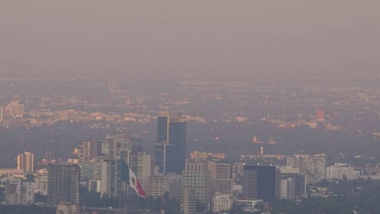 ¿Doble Hoy No Circula el 14 de febrero? Cómo circula tu auto en el Valle de México