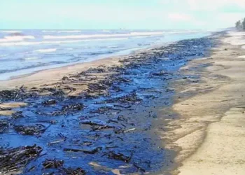 Retiran 700 toneladas de contaminantes tras derrame en el Golfo de México