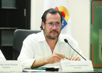 Borrador automático