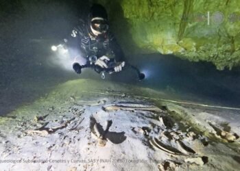 Fósil de 8 mil años revela pasado prehistórico bajo los cenotes de Tulum