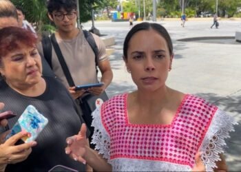 Desconoce ayuntamiento proyecto para colocar barreras antisargazo en playa Coral