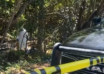 CON IMPACTOS DE BALA: Hallan cuerpo en zona de manglar en carretera a Punta Sam