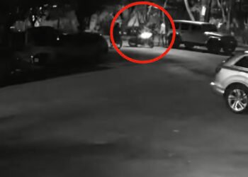 Crisis de seguridad en el centro de Cancún: asalto masivo a pasos del ayuntamiento