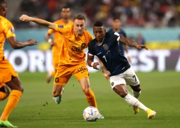 Dónde ver Países Bajos vs. Ecuador: El asalto táctico final hacia el Mundial 2026 2 Dónde ver Países Bajos vs. Ecuador: El asalto táctico final hacia el Mundial 2026