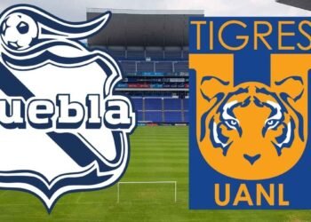 Dónde ver Tigres UANL desafiar al Cuauhtémoc: ¿Puebla detendrá al líder visitante? 7 Dónde ver Tigres UANL desafiar al Cuauhtémoc: ¿Puebla detendrá al líder visitante?