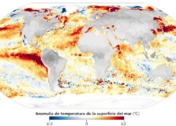 El Niño regresará en 2026 con clima extremo sin precedentes