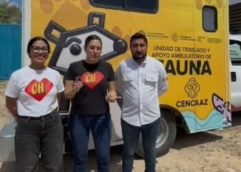 Activan unidad de rescate de fauna silvestre en Playa del Carmen