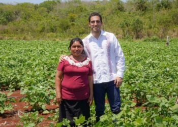 Aprueba Senado reforma para garantizar igualdad de mujeres rurales