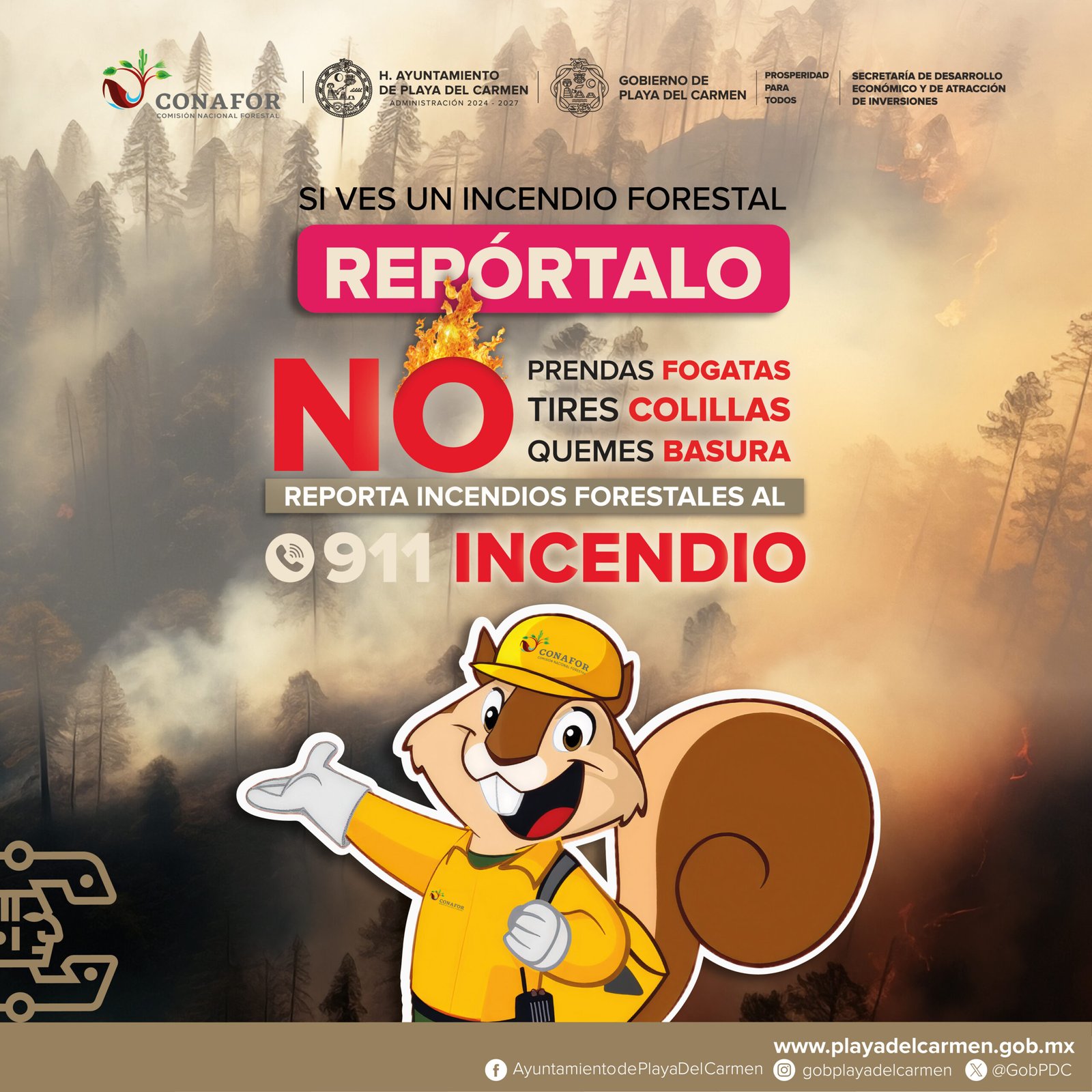 Prevenir incendios forestales