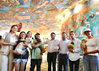 PRESENTA INICIATIVA: Promueve Partido Verde manejo responsable de animales 3 PRESENTA INICIATIVA: Promueve Partido Verde manejo responsable de animales