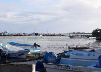 INICIAN VACACIONES: Descartan afectaciones mayores por sargazo en Costa Maya