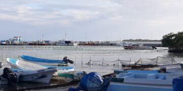 INICIAN VACACIONES: Descartan afectaciones mayores por sargazo en Costa Maya