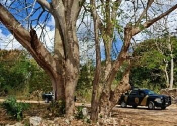 Buscan a dos hombres presuntamente privados de la libertad en Carrillo Puerto