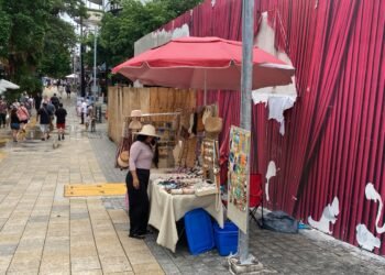 Retiran hasta 30 puestos de ambulantes al día en Playa del Carmen
