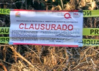 ILUMINACIÓN EN CHETUMAL: Retira PPA sellos y permite continuar obra estatal en el bulevar Bahía