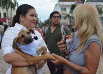 Reúne Dog Beach Festival adopciones y emprendimientos en Playa del Carmen 5 Reúne Dog Beach Festival adopciones y emprendimientos en Playa del Carmen