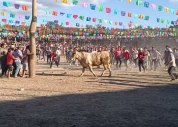 ZONA MAYA: Pide regidor regular festividades tradicionales ante advertencias ambientales 1 ZONA MAYA: Pide regidor regular festividades tradicionales ante advertencias ambientales