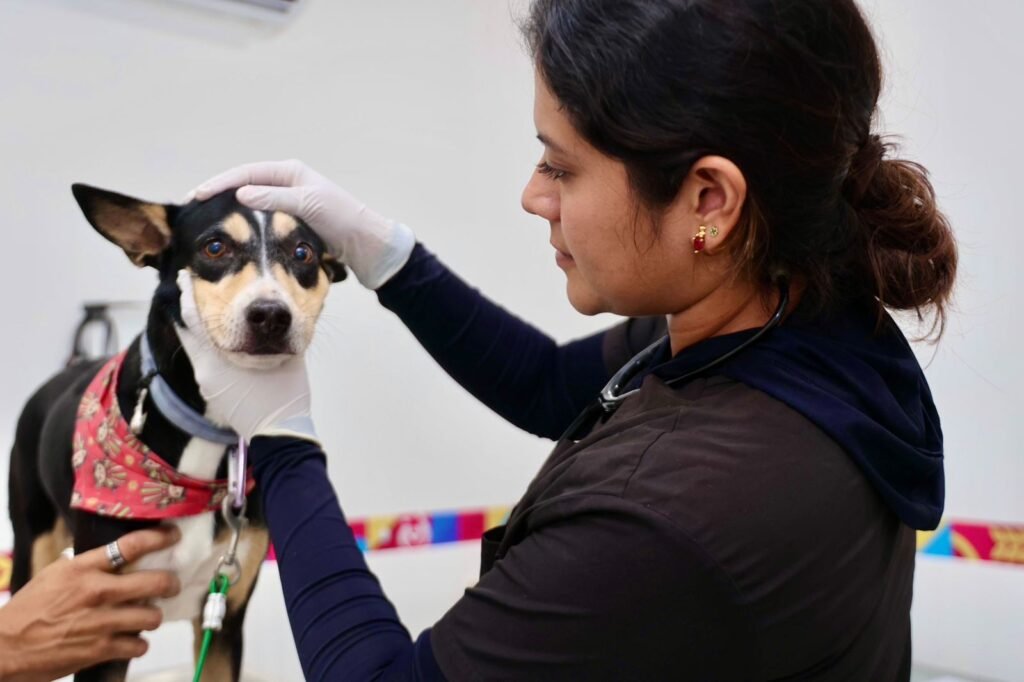 WhatsApp Image 2026 03 17 at 11.38.59 AM 3