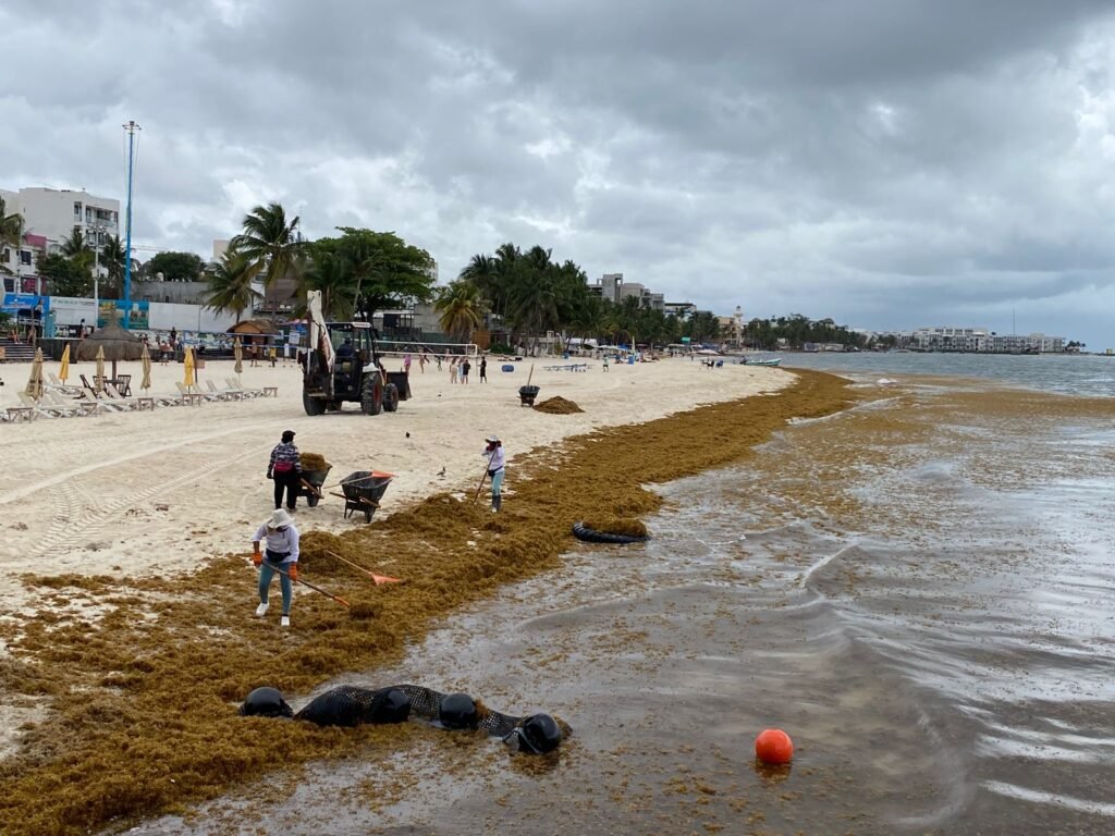 WhatsApp Image 2026 03 17 at 11.49.33 AM