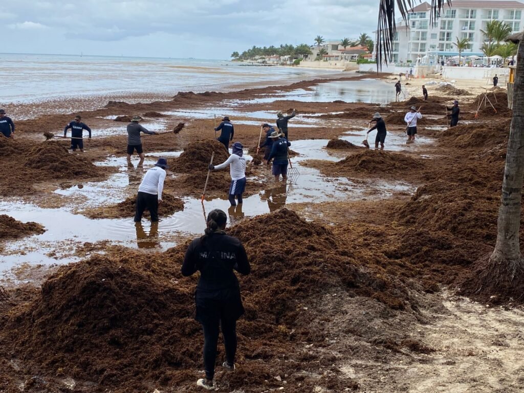 WhatsApp Image 2026 03 17 at 11.49.34 AM