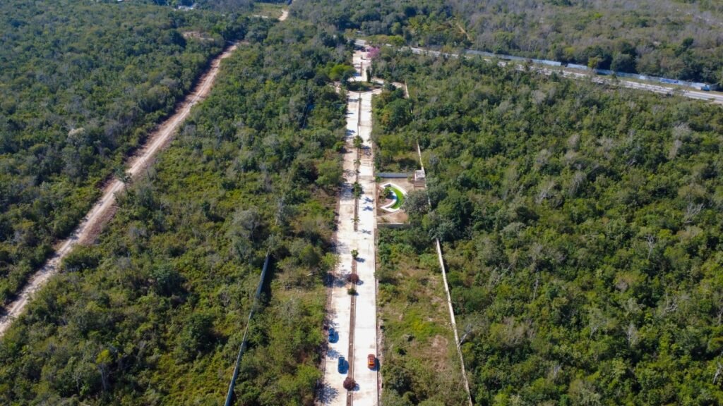 WhatsApp Image 2026 03 17 at 8.38.25 AM 3