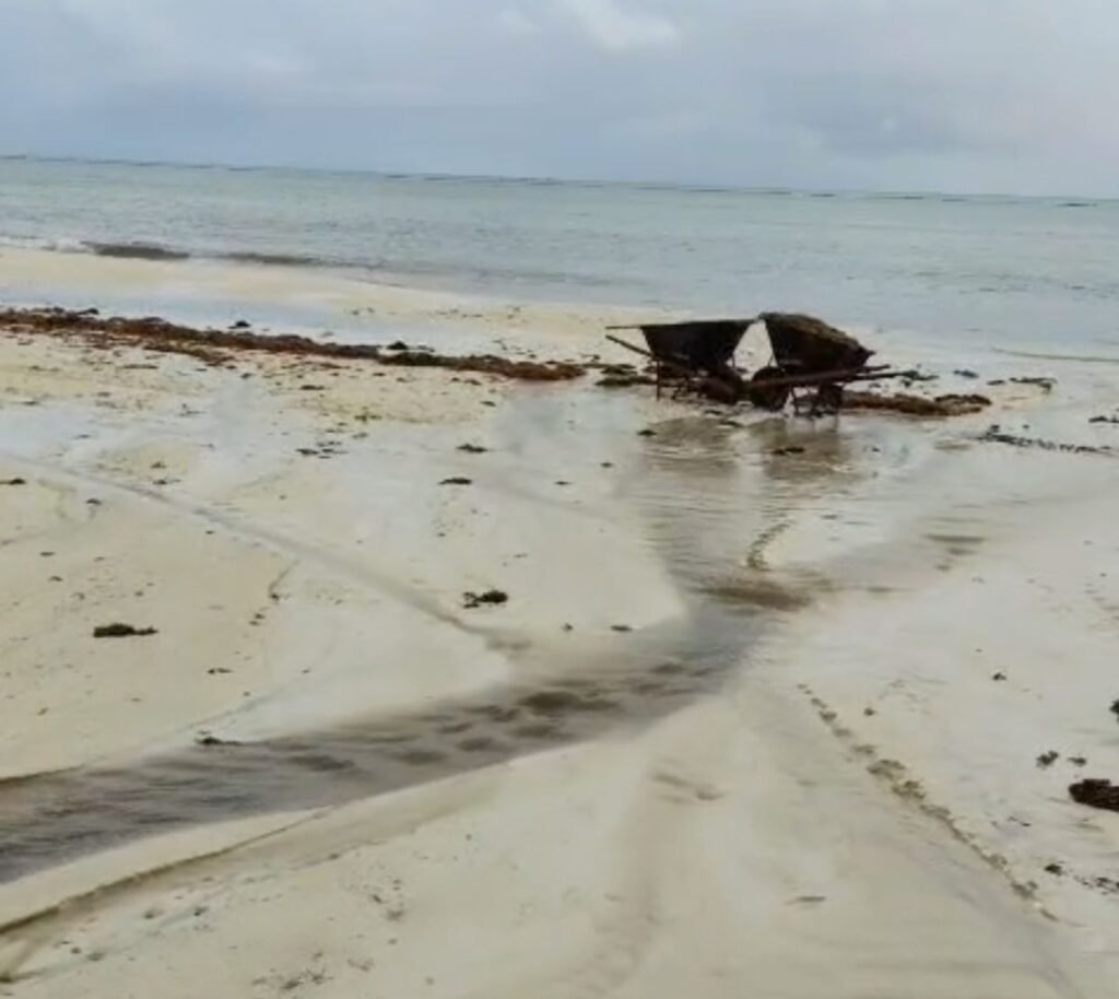 WhatsApp Image 2026 03 17 at 9.10.23 PM