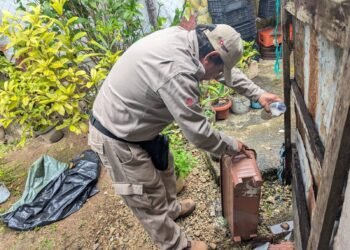 Detectan riesgo de criaderos de dengue en siete de cada diez viviendas de Chetumal