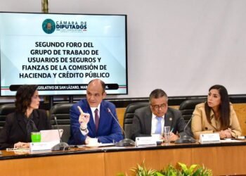 SEGUROS MÉDICOS: Advierte Marybel abusos y plantea regulación en pólizas privadas