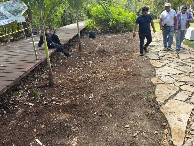 WhatsApp Image 2026 03 25 at 10.11.25 AM 1