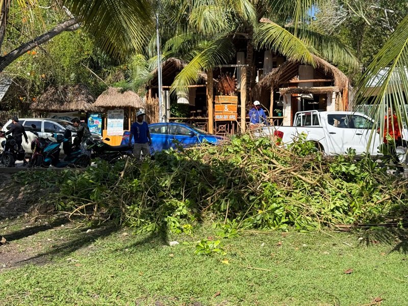 WhatsApp Image 2026 03 25 at 10.11.25 AM 3