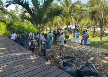 Remueven planta invasora en zona costera de Bacalar