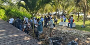 Remueven planta invasora en zona costera de Bacalar