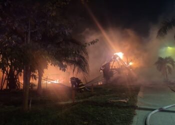 Consume fuego cinco palapas en la Colosio de Playa del Carmen 4 Consume fuego cinco palapas en la Colosio de Playa del Carmen