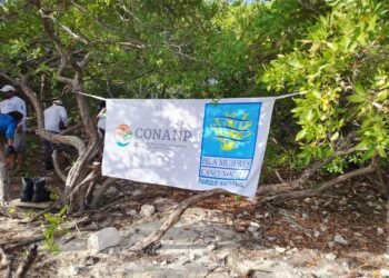 VACACIONES EN ARRECIFE: Promueve Conanp actividades y servicios en parque marino de Isla Mujeres