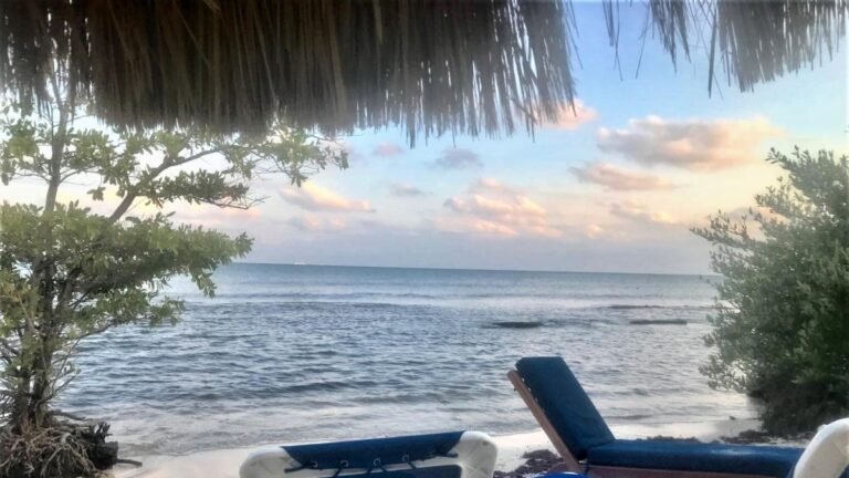 Estrategias para blindar tu membresía frente al fraude en clubes vacacionales