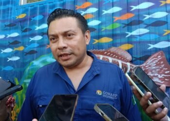 Refuerzan operativos contra embarcaciones turísticas “piratas”