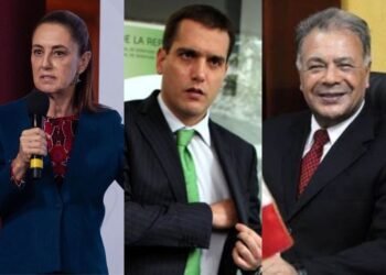 | SARGAZO POLÍTICO | Reforma Electoral y «Niño Verde»