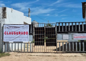 YUCATÁN: Clausura PROFEPA granja porcícola tras negarse a inspección
