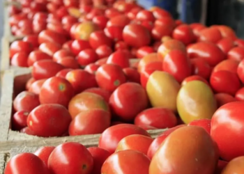 4.63%: Inflación se sale de control