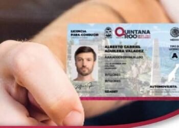 Licencias de conducir más caras en Cancún: denuncian cobros desiguales en Quintana Roo