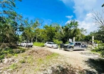 Hallan osamenta humana en área verde de Puerto Aventuras 3 Hallan osamenta humana en área verde de Puerto Aventuras