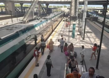 TREN MAYA: Pagan más de 300 millones en limpieza 1 TREN MAYA: Pagan más de 300 millones en limpieza