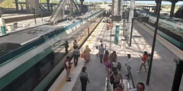 TREN MAYA: Pagan más de 300 millones en limpieza